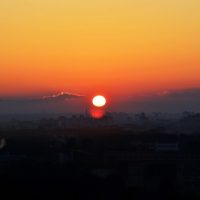 aliaksei-lepik-Lfhozhd6jW4-unsplash