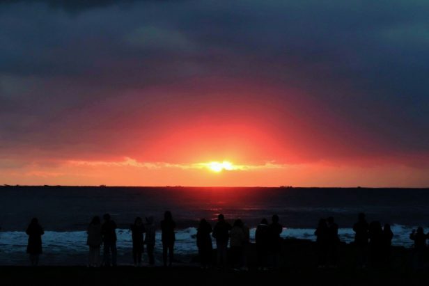 angela-lo-6_lqaIgCGg8-unsplash