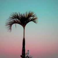 arafah-n-iman-tPGsxOjNAWk-unsplash