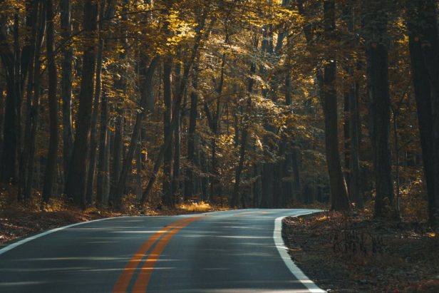 dan-carlson-EXSh-k3wjds-unsplash