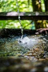 frank-albrecht-xaOQSqfIR08-unsplash