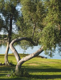 jeremy-alford-mGKOX__luDs-unsplash
