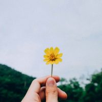 kawin-harasai-2Ev2aUB8NJI-unsplash
