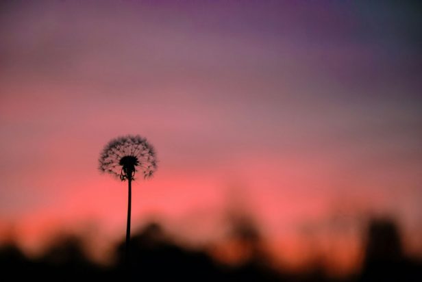lostin_lalin-ARWBBG-e0v0-unsplash