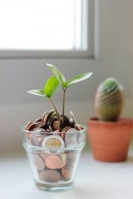 micheile-henderson-pLnaCZiwpIk-unsplash