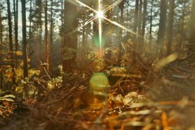 mladen-borisov-btehDX3odlA-unsplash