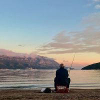 pink_colibri-uiIEWSXbQCM-unsplash