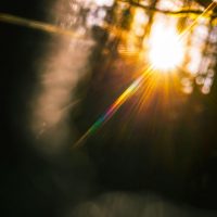 raphael-renter-raphi_rawr-VO_c55zvyrk-unsplash