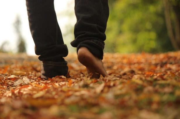 walk-2664125_1280